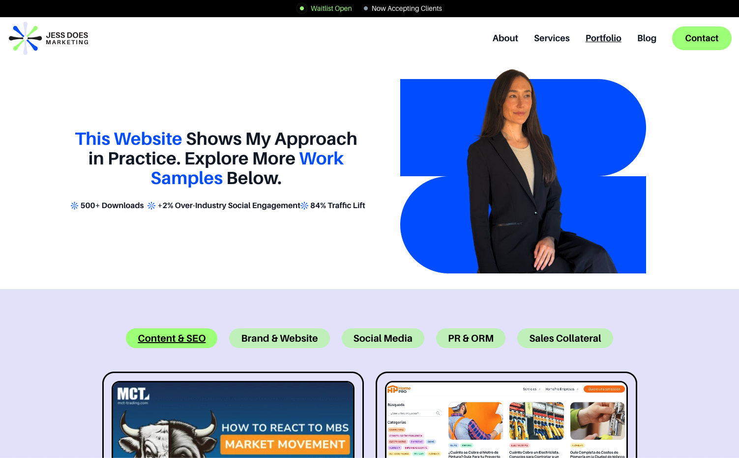 Digital marketing portfolio example showing organized work samples by category